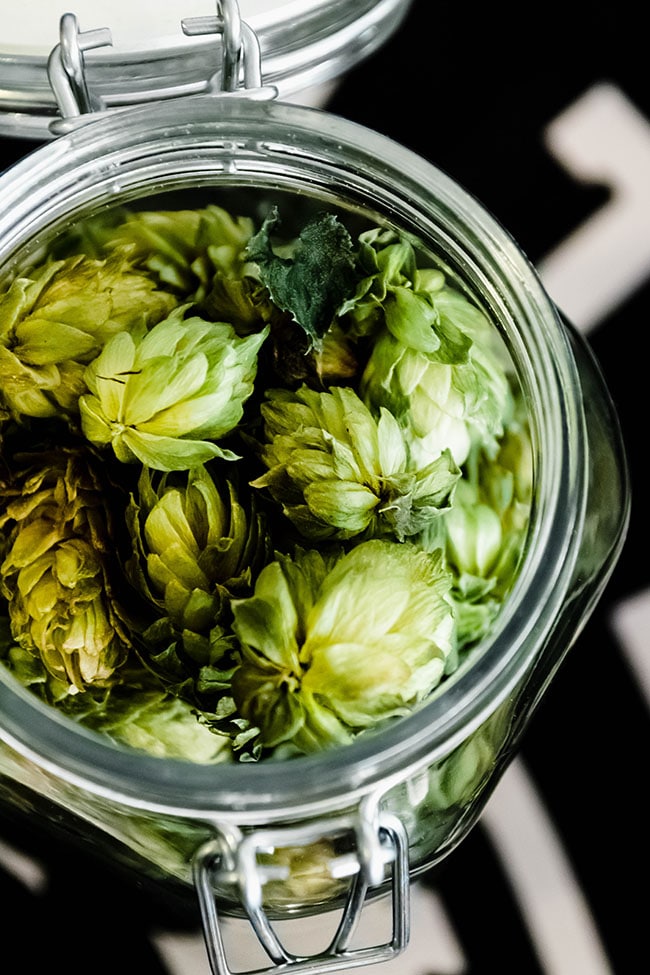 Fresh hops in a glass jar.